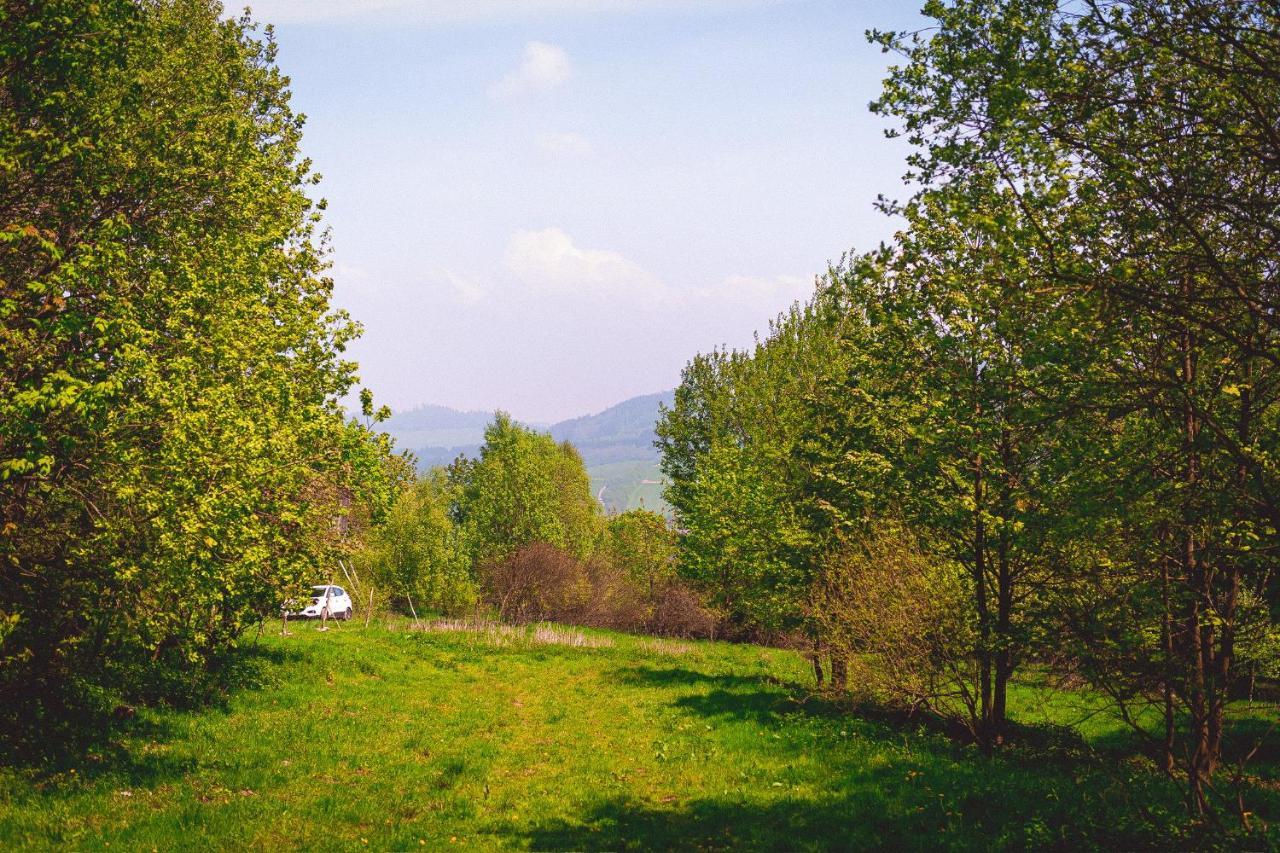 Maringotka V Mechu A Kapradi S Koupacim Canem Villa Cervena Voda Exterior photo